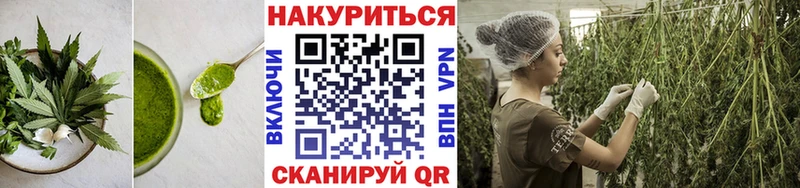 Купить где  Заозёрск  Canna-Cookies конопля 